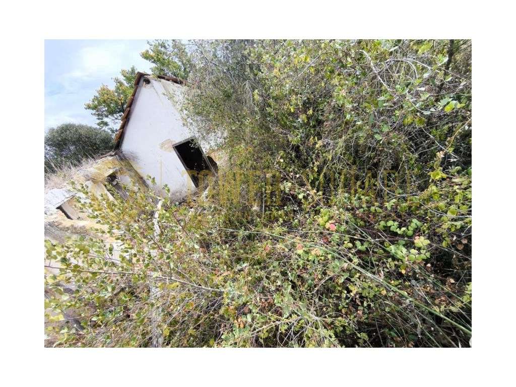 Terreno Misto com 5.040 m² - Casais do Vidigão - Santarém - Grande imagem: 3/4
