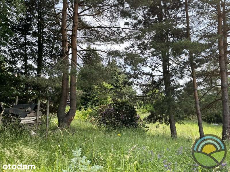 Widokowa 20-arowa działka k/ Zielonek ! - Pełny obrazek: 4/11