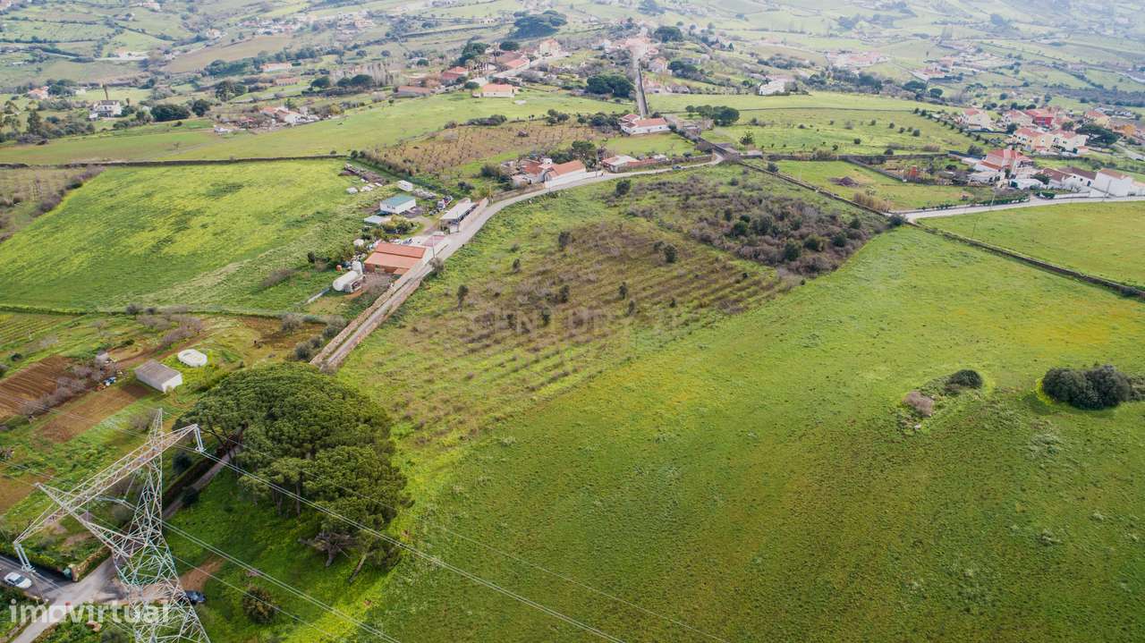 Quinta - 25 hectares-20