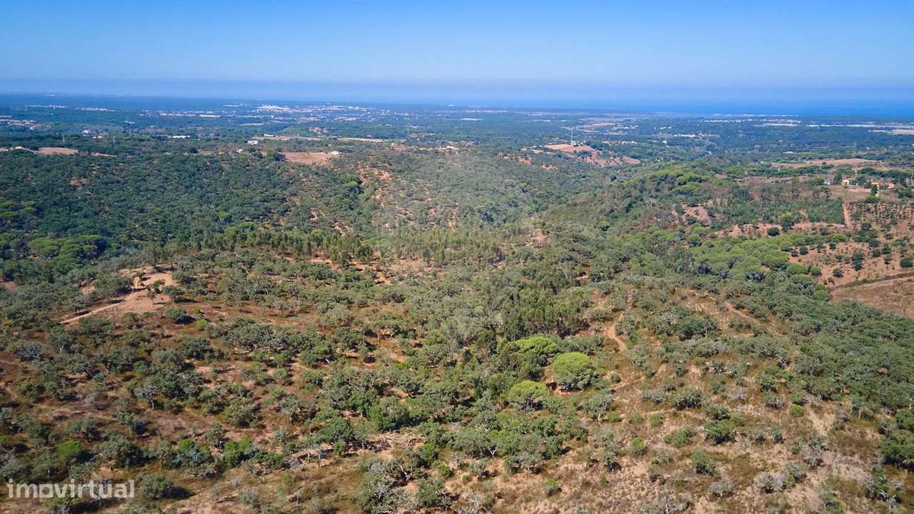 Terreno  para venda - Grande imagem: 4/28