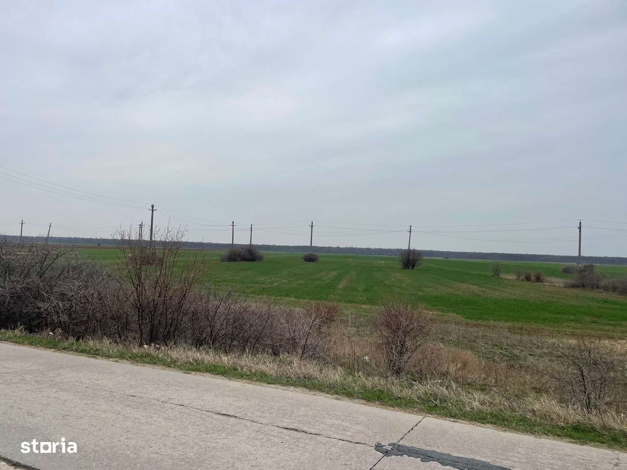 Giurgiu-Bolintin-Marsa 8.5 HA-4