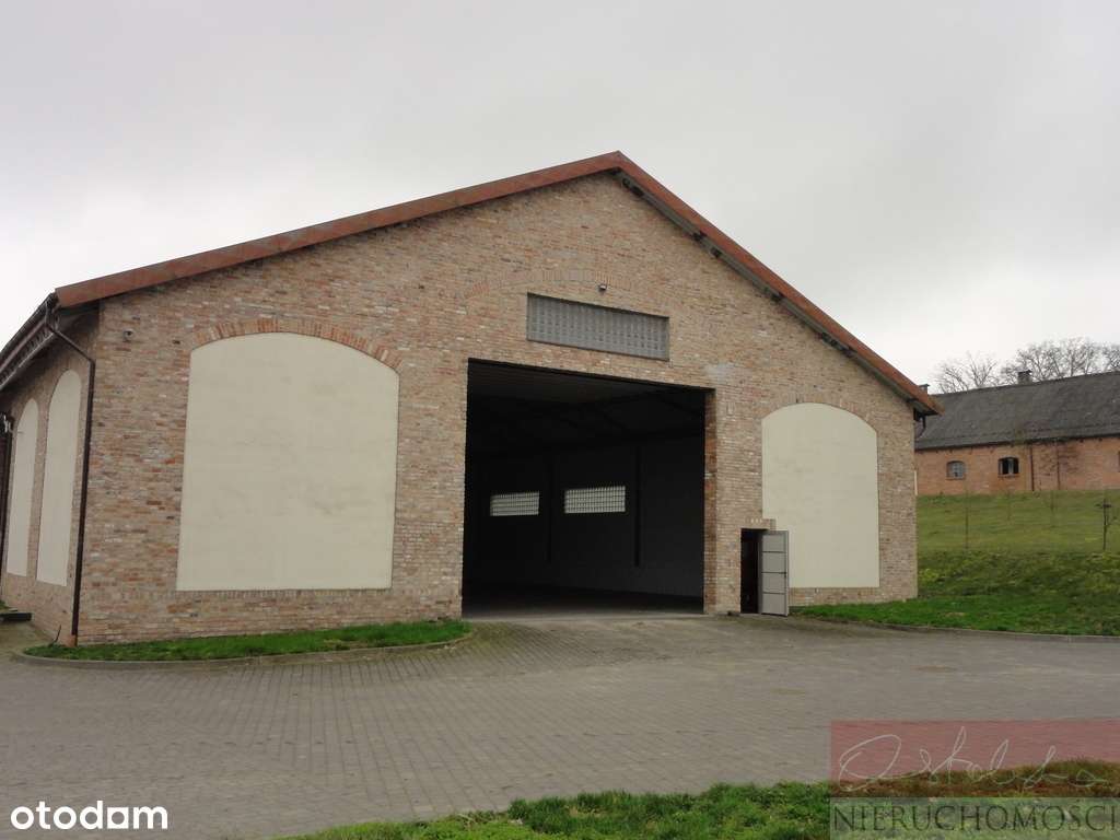 SOLIDNY MUROWANY MAGAZYN 1240 m Z KONTROLĄ DOSTĘPU - Pełny obrazek: 2/14