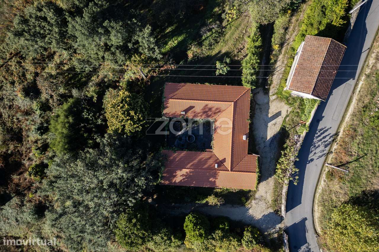 Quinta Em Baltar Com 35 Hectares De Terreno