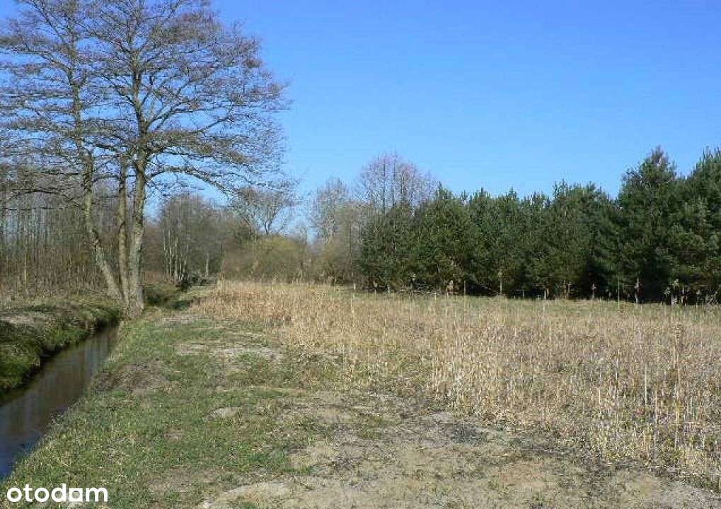 Pojezierze Słowińskie . Rolna 3001 . Rzeka . Morze - Pełny obrazek: 5/19