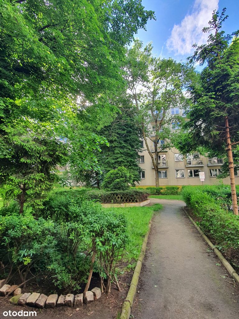 Kawalerka 27 m² | Kapitalny remont | 1,8 km od Rynku | Inwestycja - Pełny obrazek: 1/14
