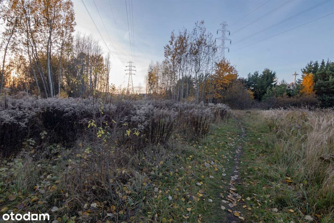 Działka Budowlana W Sercu Zielonego Białegostoku - Pełny obrazek: 5/8