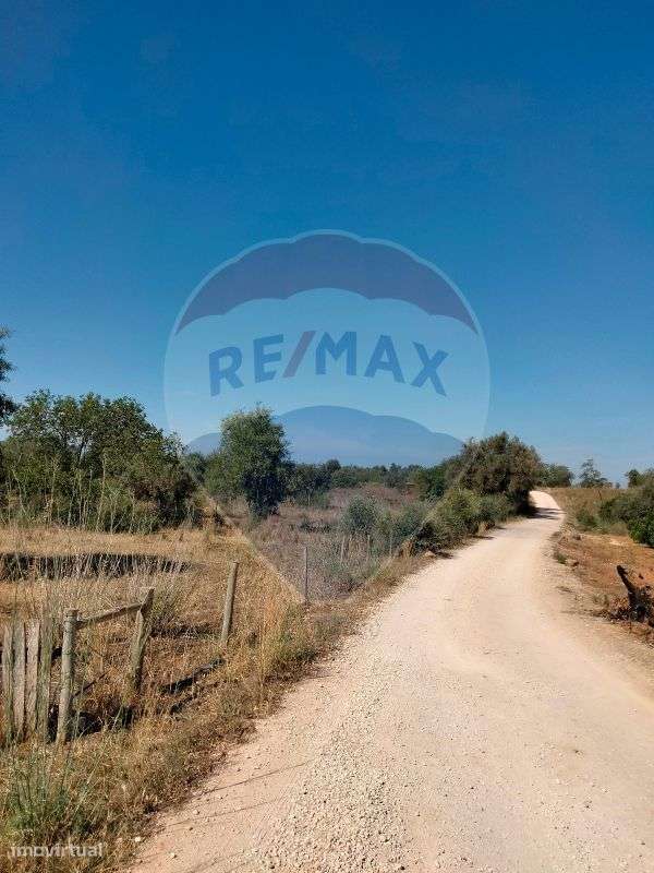 Terreno  para venda - Grande imagem: 5/6