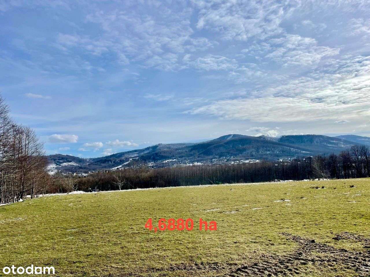 Top lokalizacja w Bielsku-Białej! Lokata kapitału z potencjałem! - Pełny obrazek: 4/4