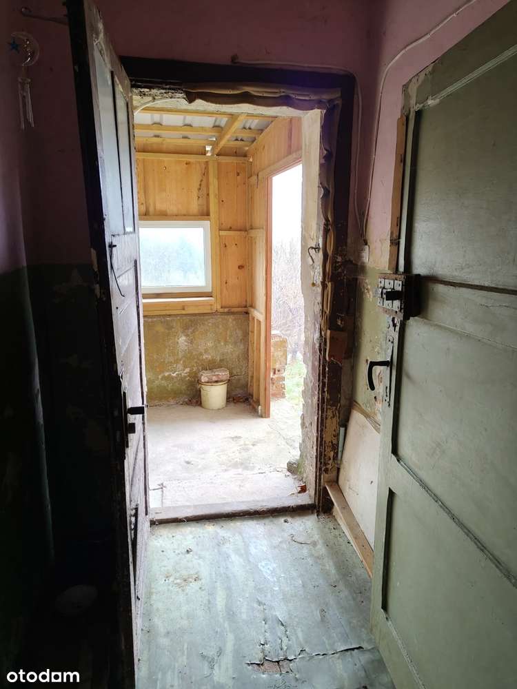 Mieszkanie w Pałacu z OGRODEM i PIWNICĄ - Pełny obrazek: 5/11