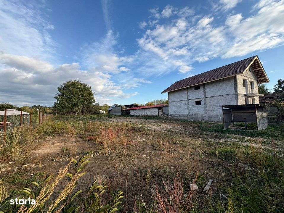 Teren 4449 mp cu utilitati, Curtisoara - la 13 km de Targu Jiu - Imagine principală: 5/5