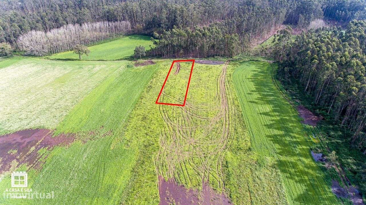 Terreno para cultivo em S. Vicente de Pereira Jusã - Exclusivo - Grande imagem: 4/12