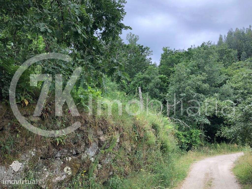 Terreno na Légua-10