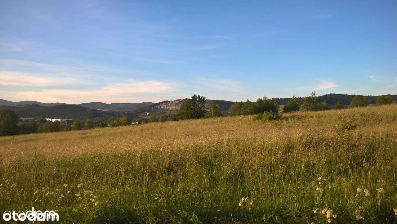 PROMOCJA JESIENNA. Sprzedam działkę Nowa Ruda Słupiec ul. Kasztanowa - Pełny obrazek: 5/15