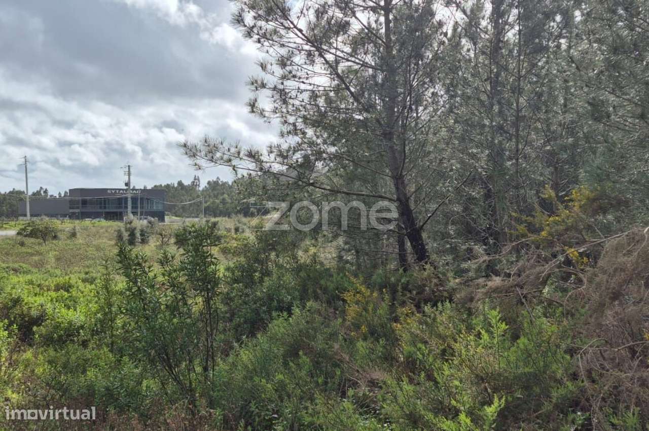 Oportunidade Industrial em Alenquer - Grande imagem: 5/56