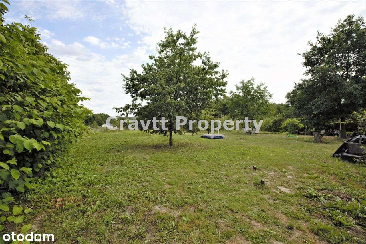 Piękna działka 5000m2 nad Pilicą - Pełny obrazek: 4/13