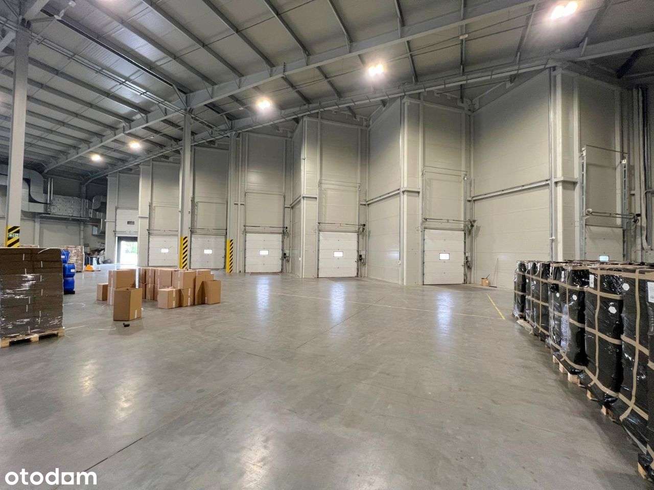 Hala produkcyjno magazynowa 7000m2 wynajem Dębica - Pełny obrazek: 4/11