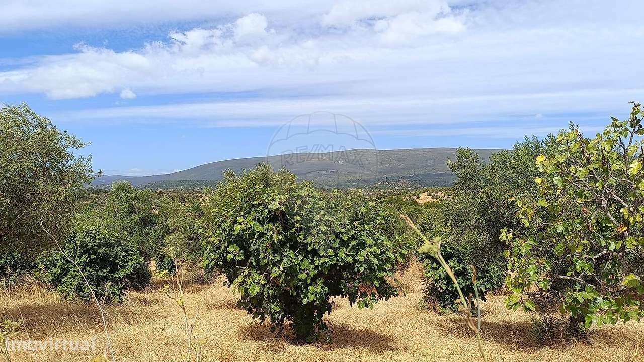 Terreno  para venda - Grande imagem: 4/7