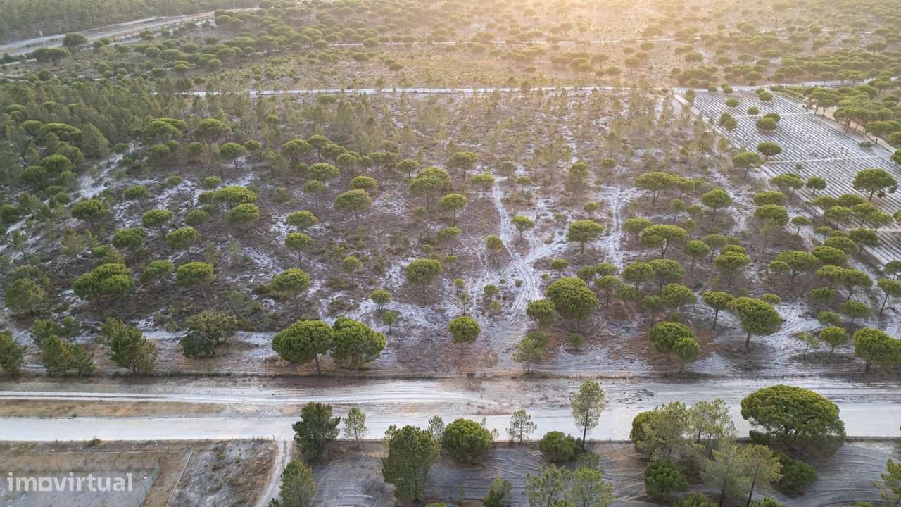 Terreno 7.5 ha, Muda, Grandola - Grande imagem: 2/15