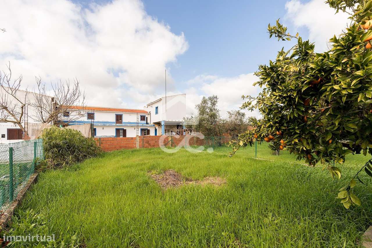 Moradia T2 de Rés do Chão c/ Terreno de 347 m² | S. Miguel de Machede,-25