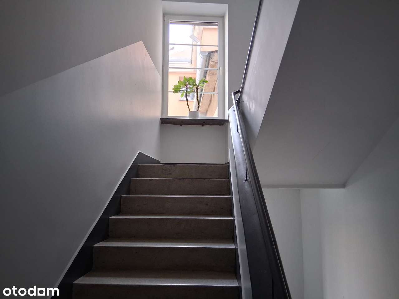 3 pokoje kamienica Stary Mokotów-13