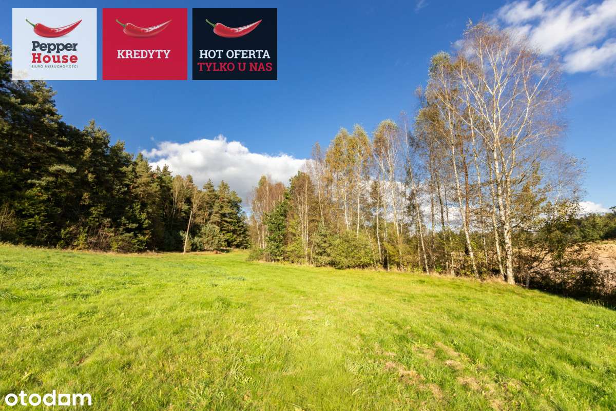 Działka Rąb ,Trzy Rzeki Szwajcaria Kaszubska - Pełny obrazek: 4/7