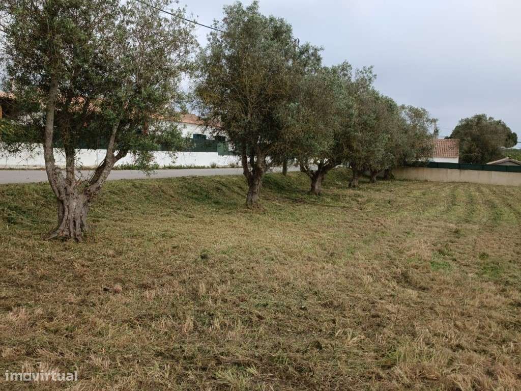 Terreno de construção livre para moradia(s) térrea(s) e isolada(s) - Grande imagem: 5/10