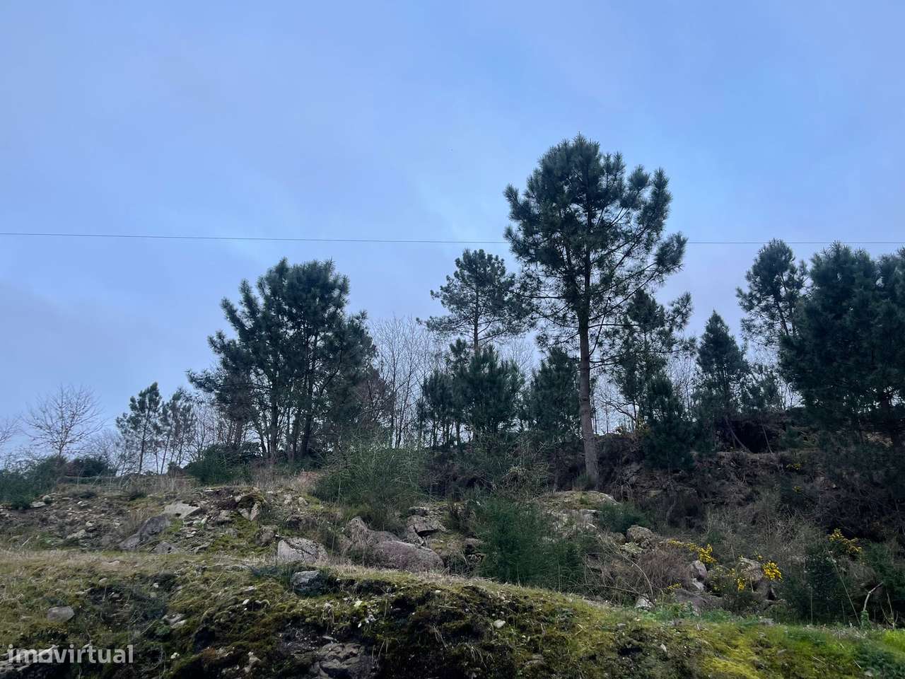 Terreno com 3.093 m²-3