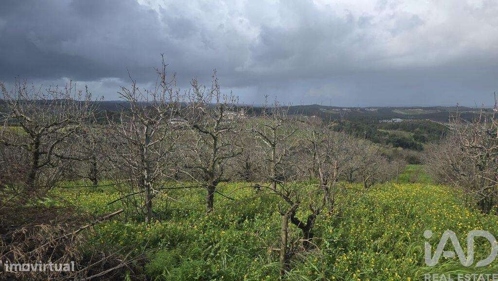 Terreno em Vilar - Grande imagem: 5/7