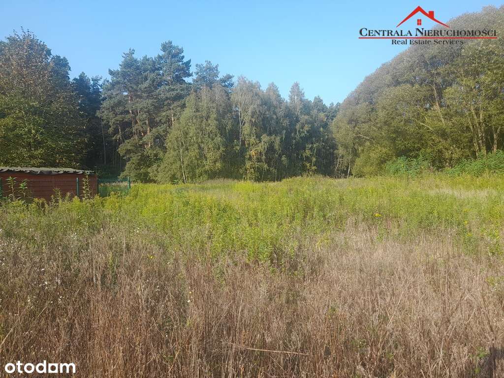 Dwie działki w Osieku n/w - Pełny obrazek: 4/4