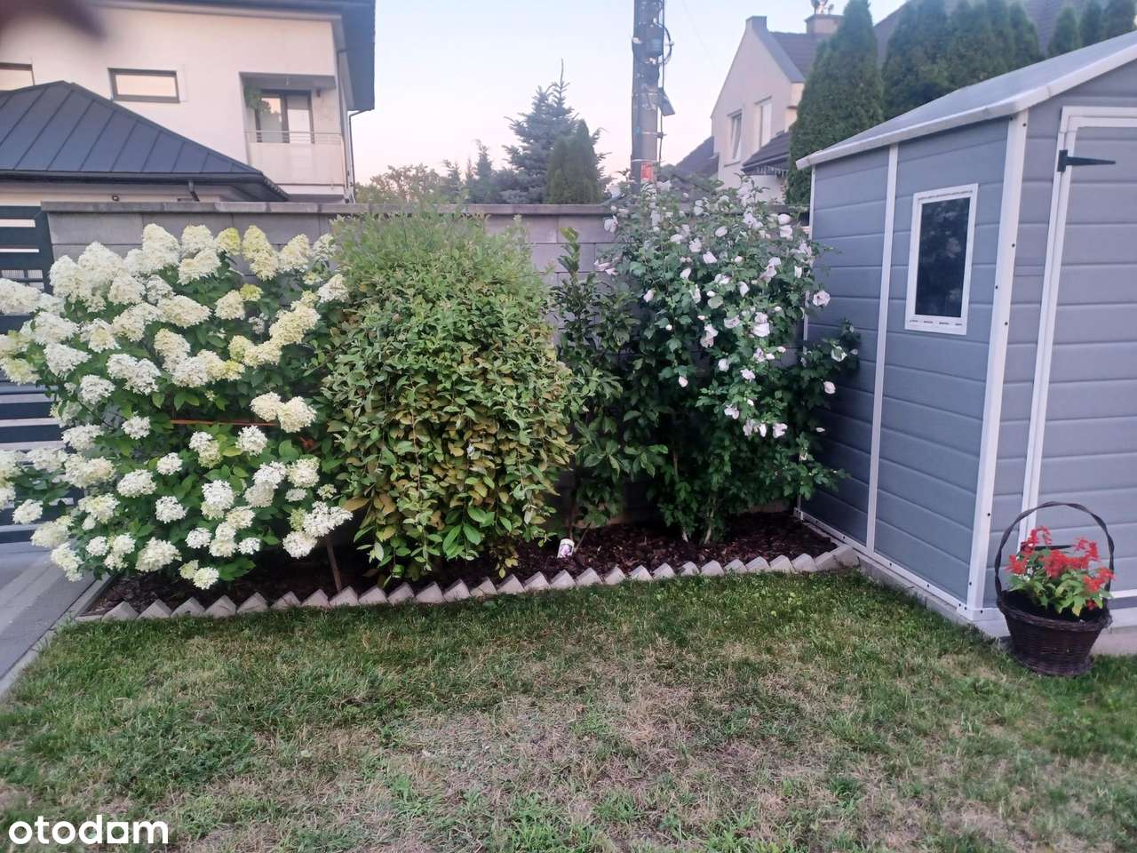 Szczęśliwa to może być Twój nowy adres - Pełny obrazek: 4/19