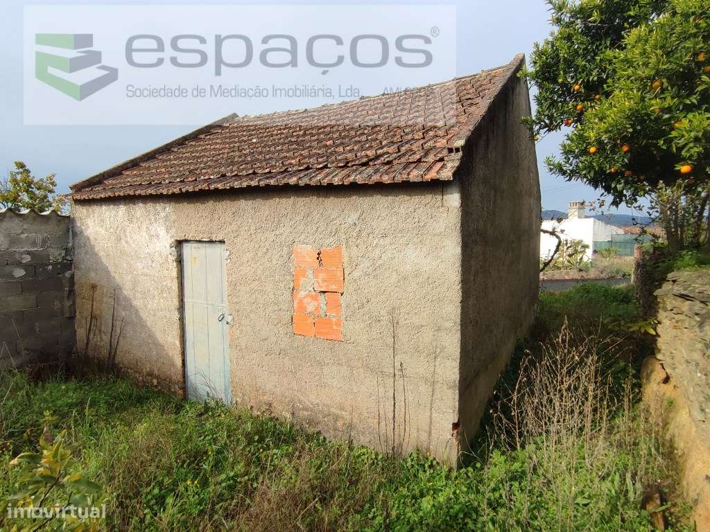 Casa antiga com quintal - Casal de Águas de Verão - Grande imagem: 2/4