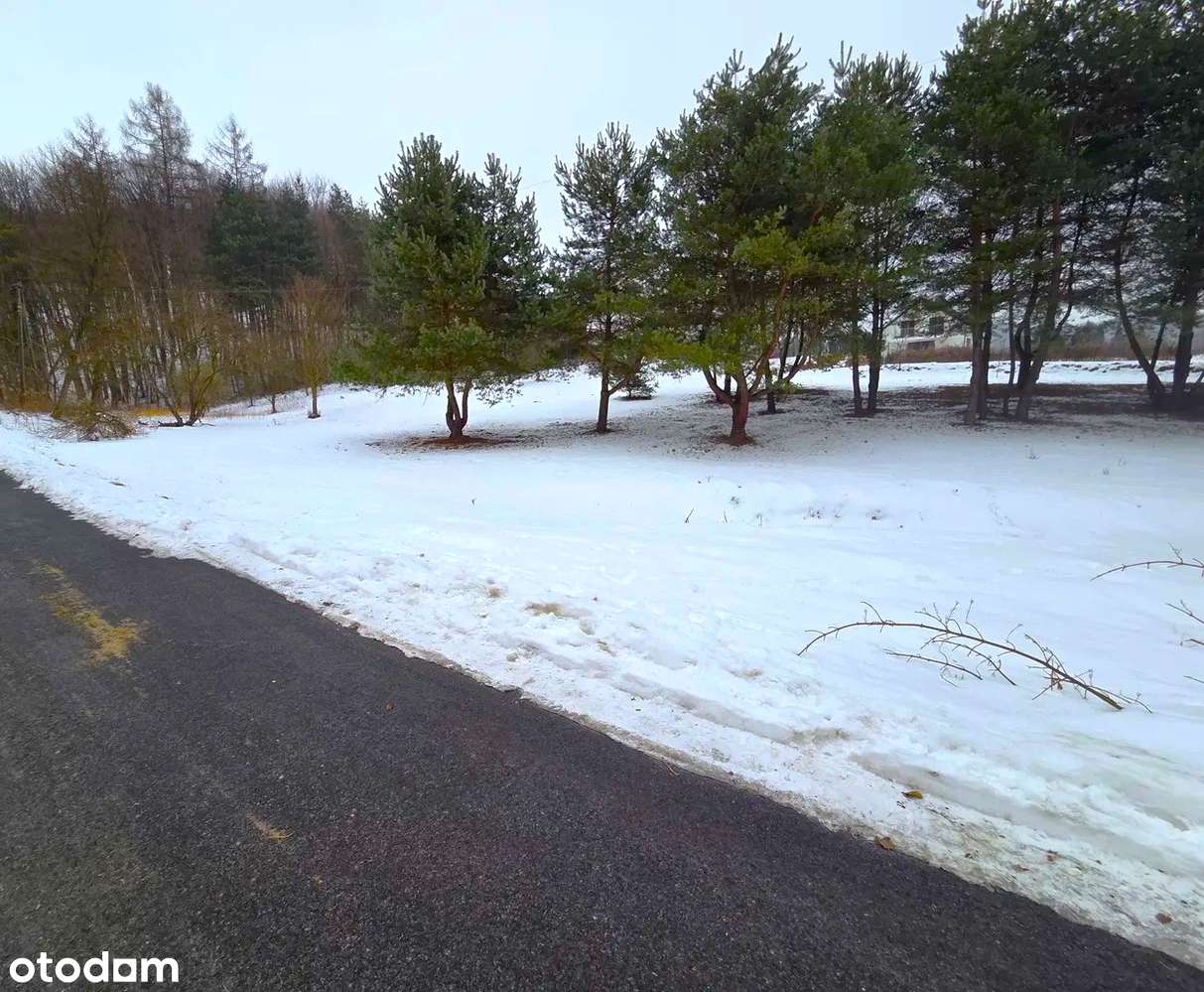 Działka budowlana przy lesie 20 arów - Mników-2