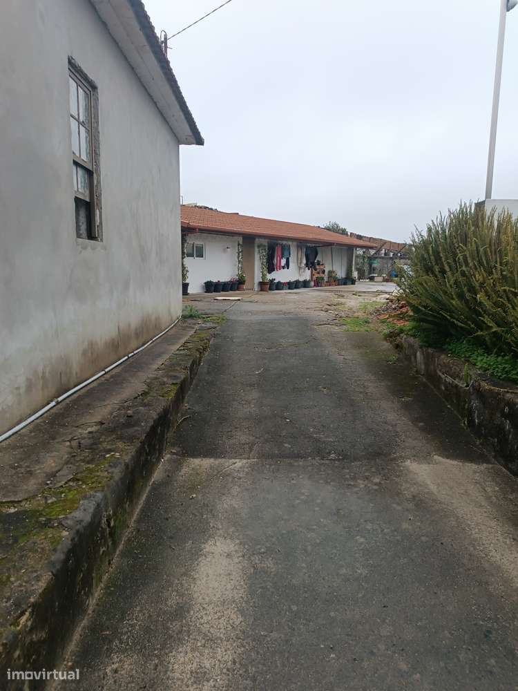 Moradia Térrea com Terreno, Anexos e Poço - Grande imagem: 5/13