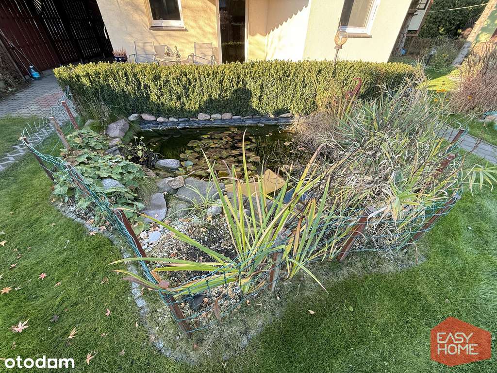 Śliczna, całoroczna działka ROD - Pełny obrazek: 5/14