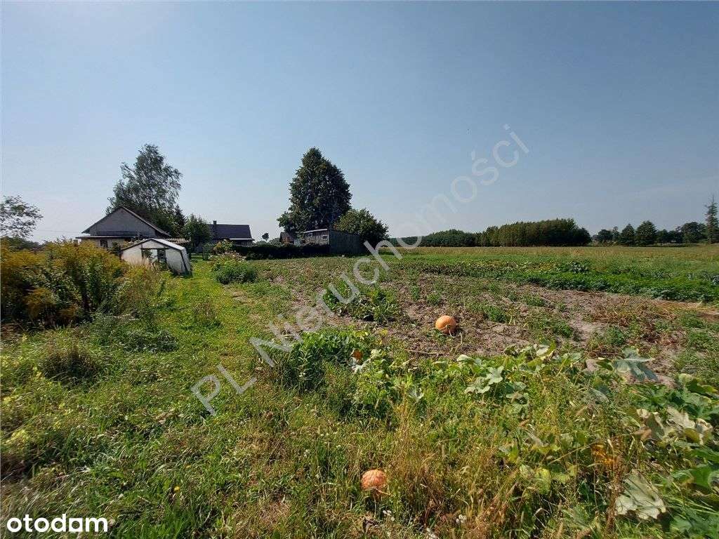 Siedlisko Jak Z Bajki, Miejskie Media, Komunikacja-16