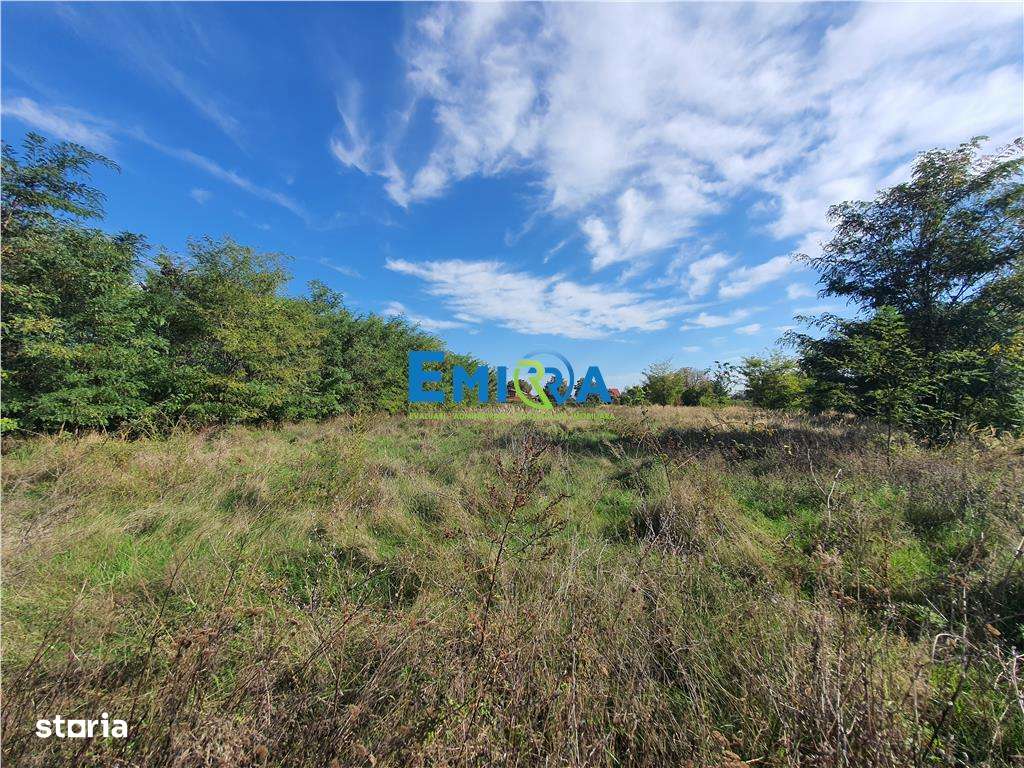 Teren de vanzare in Hemeius Margineni, judetul Bacau - Imagine principală: 2/10