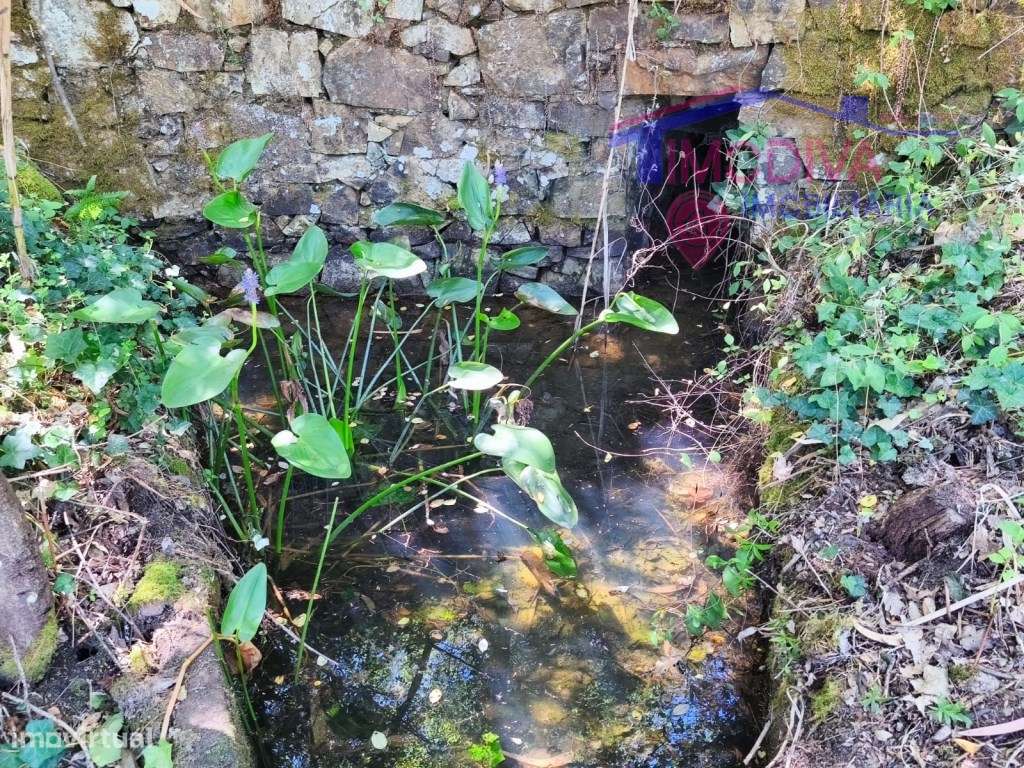 Propriedade com moradia, anexo, piscina e terreno com mais 2 ha-17