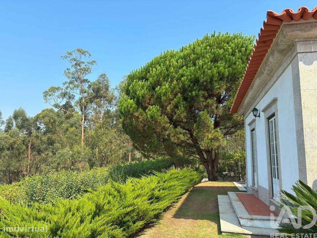 Casa / Villa T4 em Marrancos e Arcozelo de 310 m2 - Grande imagem: 4/34