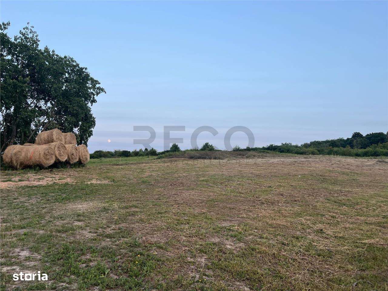 RECO Teren in Paleu 903 mp, acces rapid din Saldabagiu de Munte - Imagine principală: 4/12