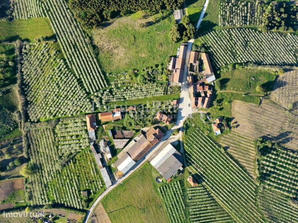 Antiga quinta agrícola com 11 hectares e 4700 m2 de construções, a ... - Grande imagem: 5/56