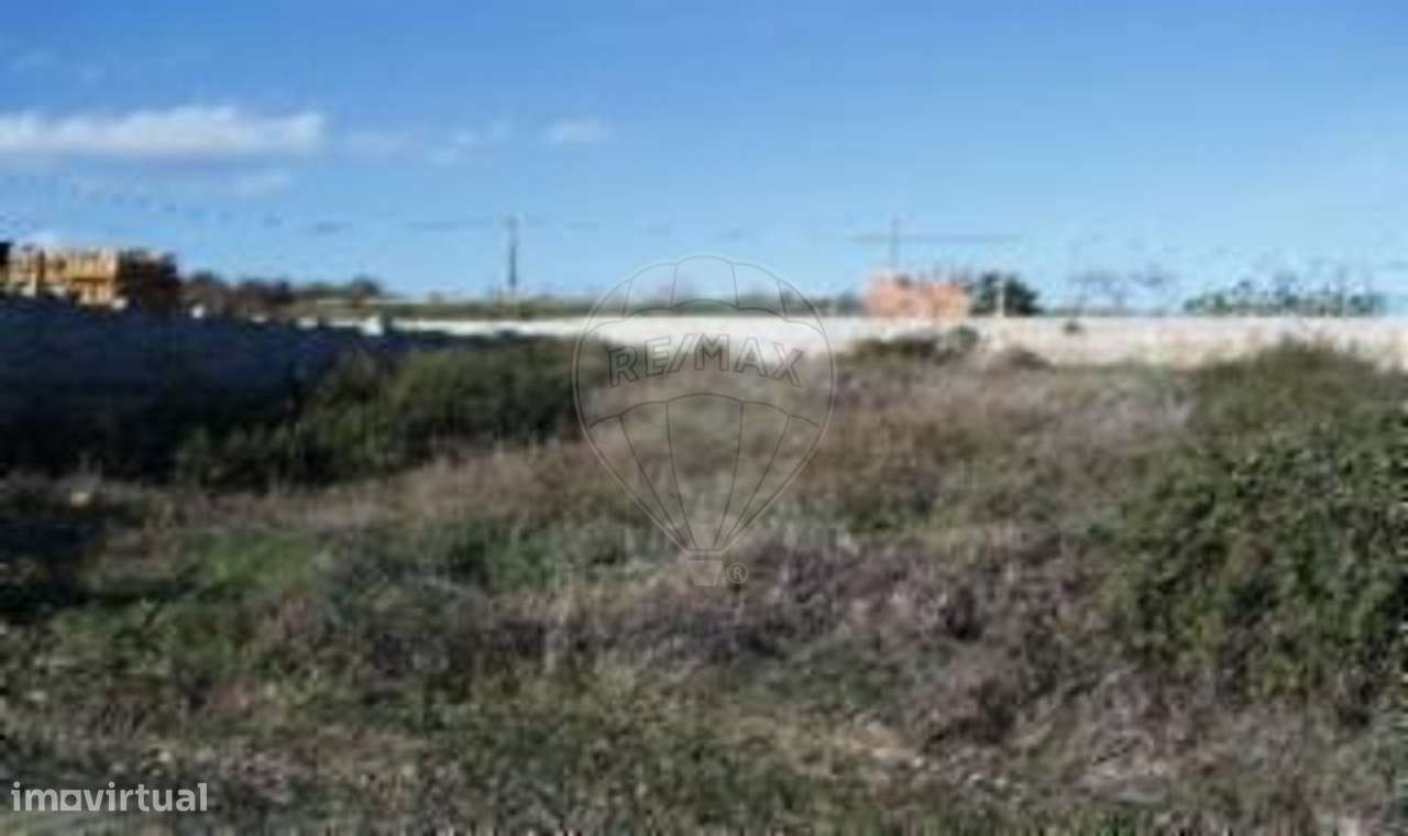 Moradia – Castelo Branco - Vista 3