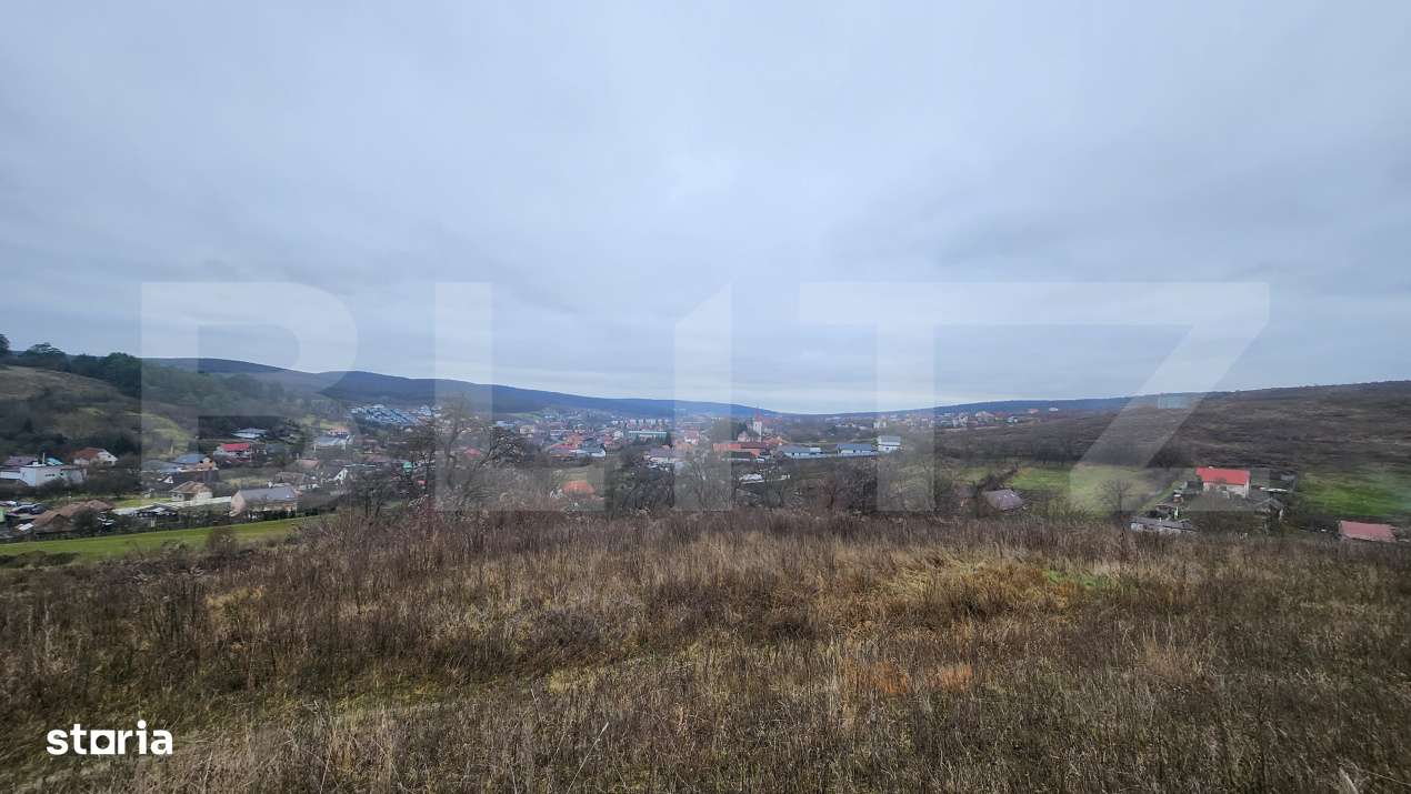 Teren intravilan 4756 mp  de vanzare in Livezeni - Imagine principală: 2/2