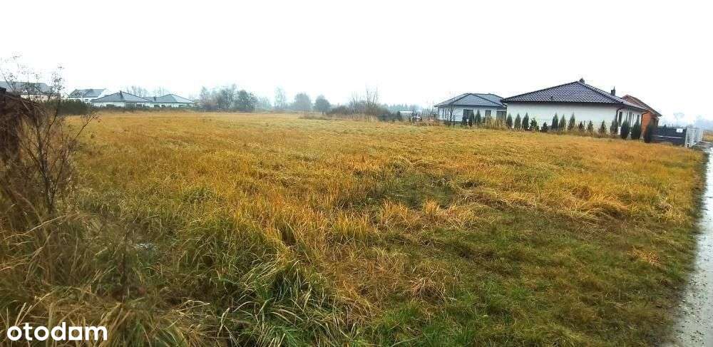 Tarnowo Podgórne - obniżka ceny !!1-4