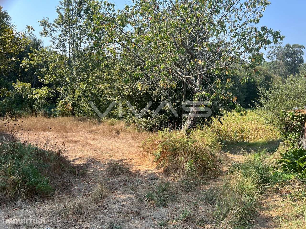 Terreno Rústico  Venda em Oleiros,Vila Verde - Grande imagem: 5/5