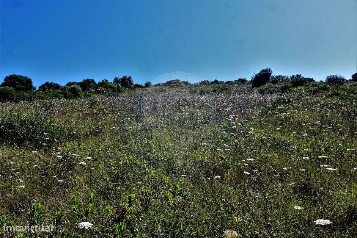 Terreno  para venda - Grande imagem: 2/22