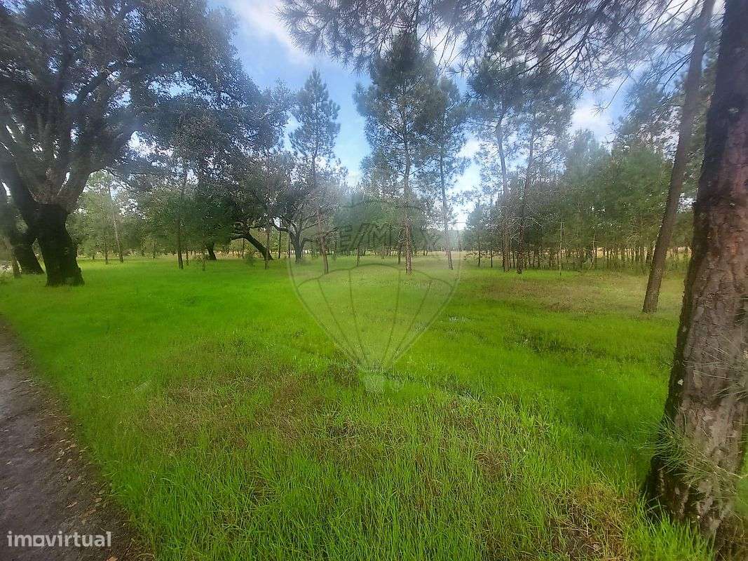 Quinta T1 para venda - Grande imagem: 5/15