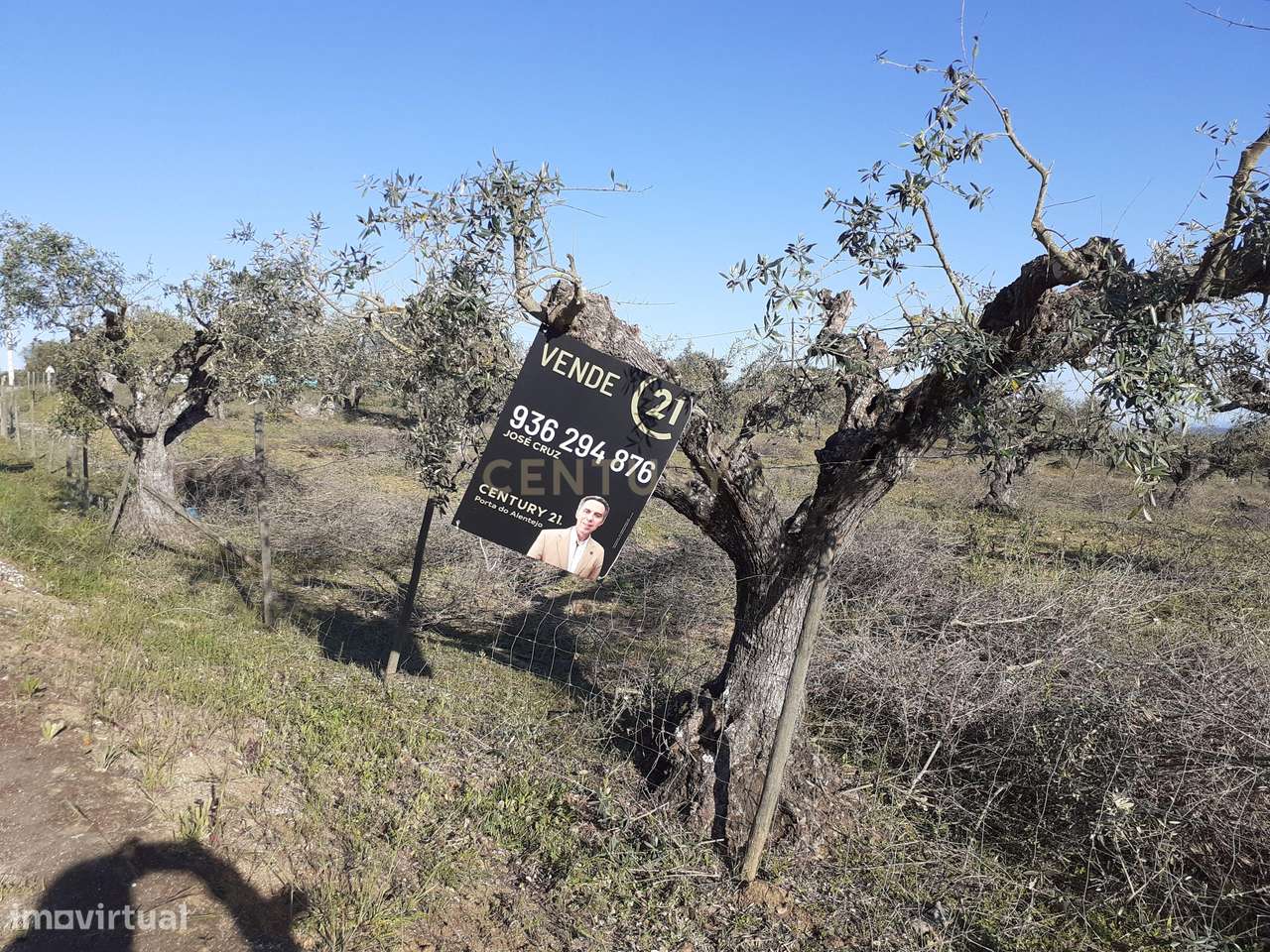 Oportunidade, junto á aldeia do Carrapatelo. Conselho de Reguengos de - Grande imagem: 4/10
