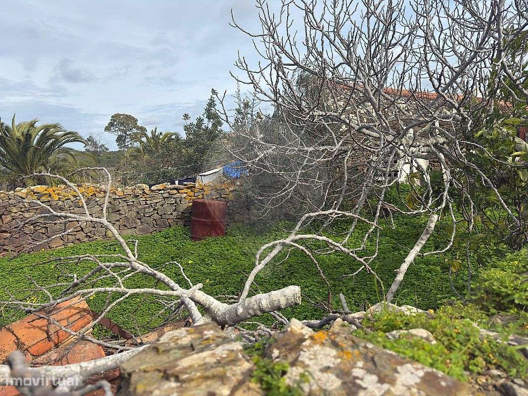 Arrecadação  para venda - Grande imagem: 5/12