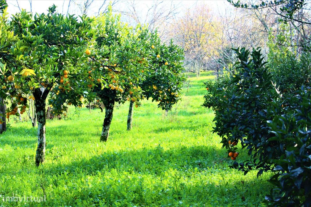 Solar do sec. XVII em Mesquitela, Mangualde-14