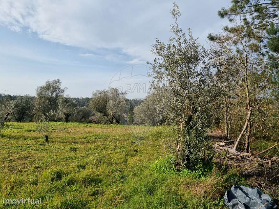 Terreno  para venda - Grande imagem: 4/8
